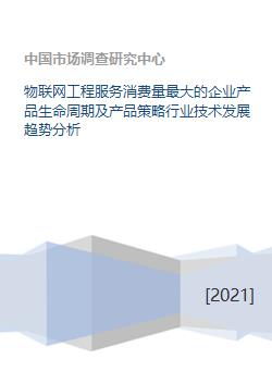 物聯(lián)網(wǎng)工程服務(wù)消費(fèi)量最大的企業(yè)產(chǎn)品生命周期及產(chǎn)品策略行業(yè)技術(shù)發(fā)展趨勢分析